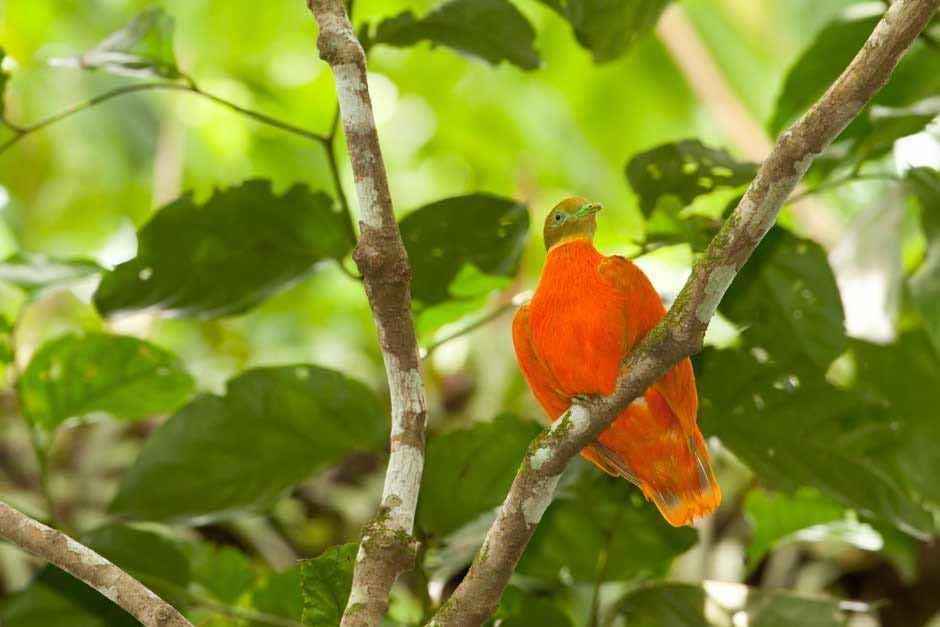 Taveuni Palms Resort Матеи Экстерьер фото