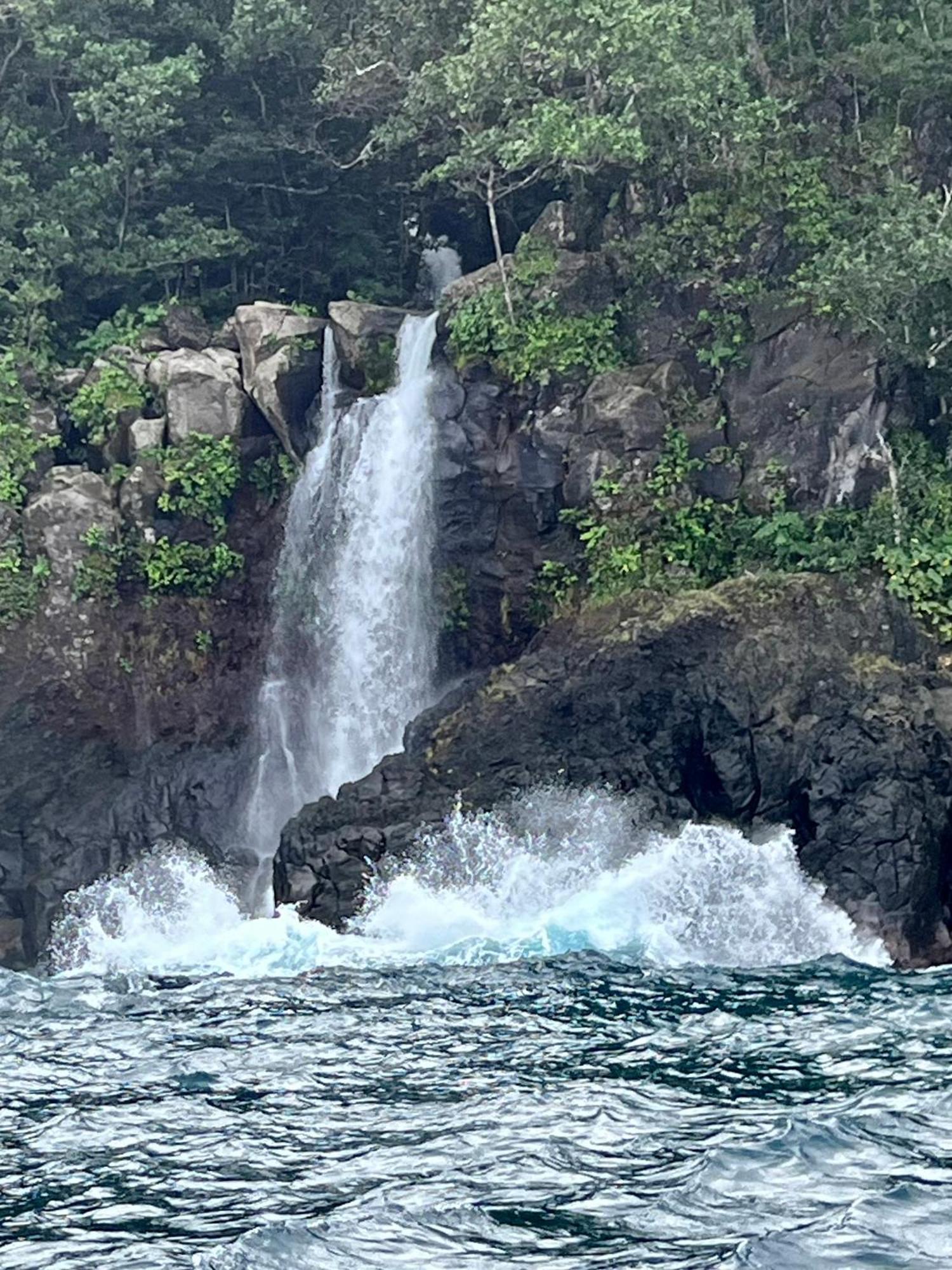 Taveuni Palms Resort Матеи Экстерьер фото